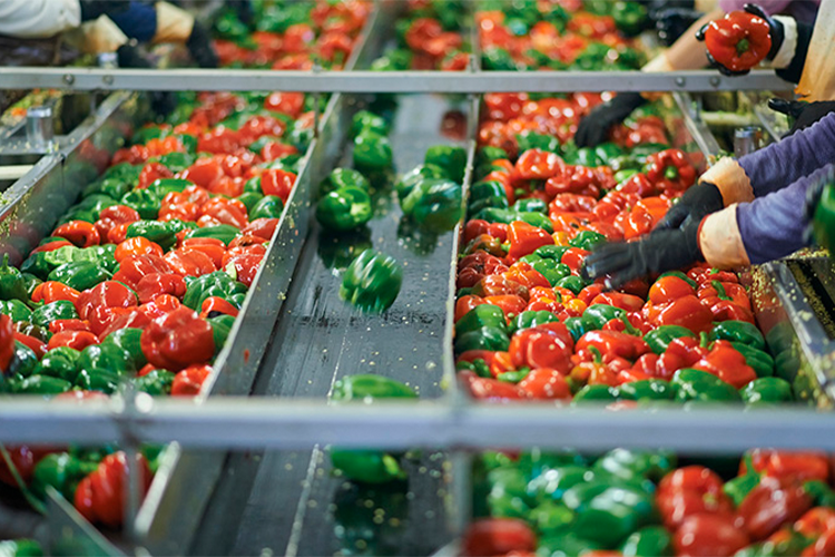 Agricultural Industry