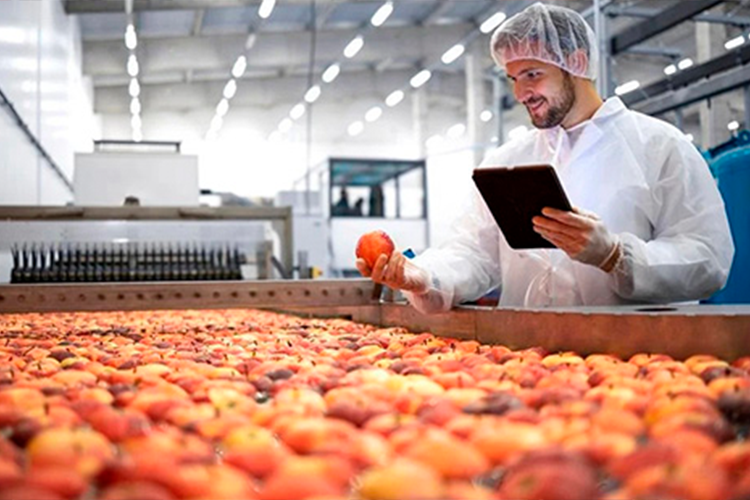 Food Industry